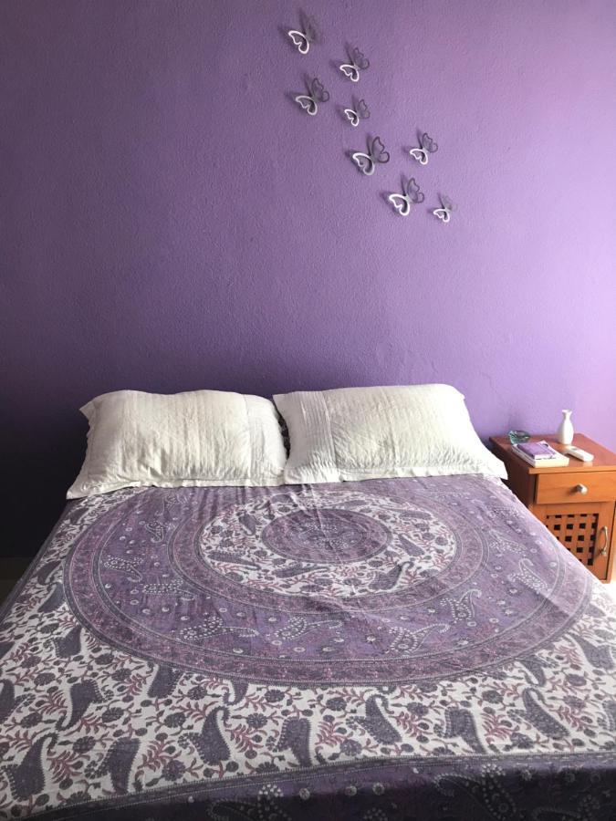 Habitacion Potter Канкун Екстер'єр фото